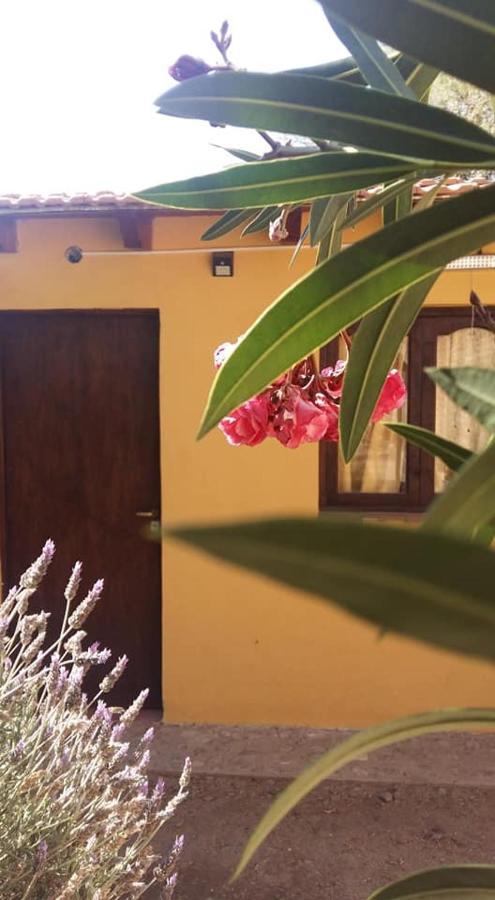 Mamaku Huasi Hotel Кафаяте Екстериор снимка