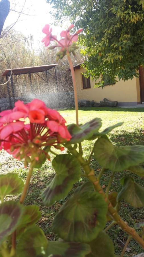 Mamaku Huasi Hotel Кафаяте Екстериор снимка